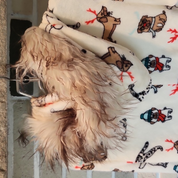 Womens Holiday Time CHRISTIMAS DOGS Hooded Union Suit 1 pc Pajamas - Picture 5 of 15